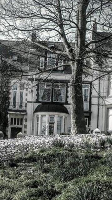 Seacrest Guest House South Shields Eksteriør bilde